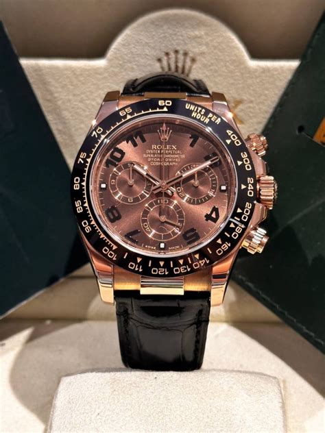 daytona everose oysterflex